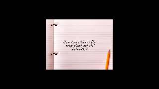 How Do Other Organisms Eat? Paula V, Beatriz, Iker And Matei