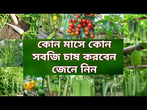 ভিডিও: মাটির পিএইচ সামঞ্জস্য করার 3 উপায়