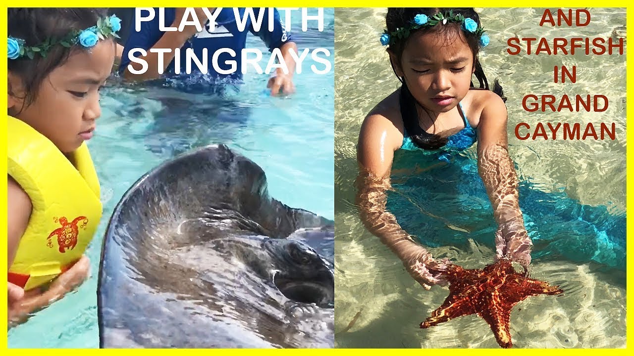 Kara plays with stingrays and starfish in Grand Cayman - Kara's Playground 013