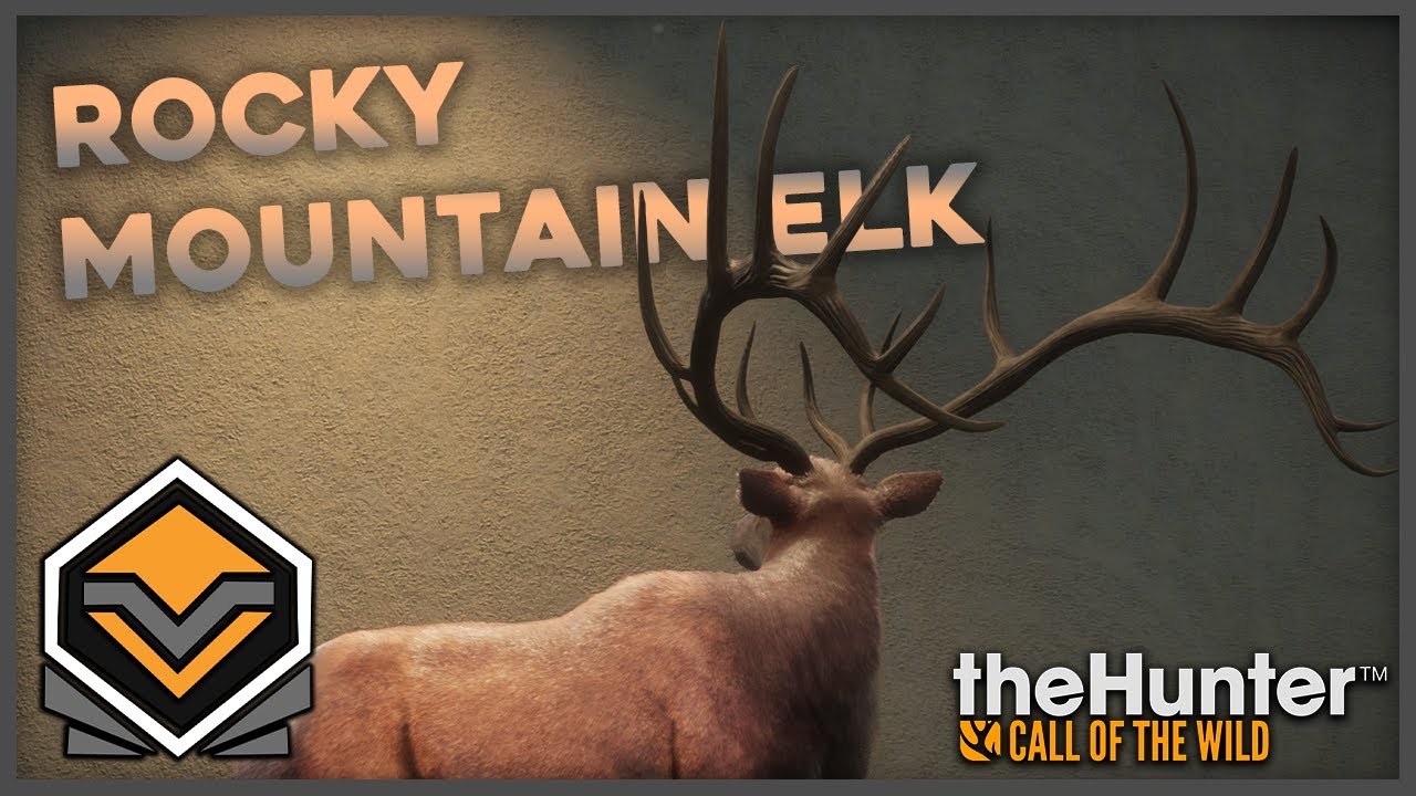 Diamond Rocky Mountain Elk with the Long Bow Silver Ridge Peaks