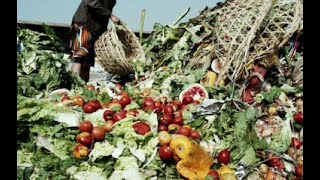 #AfricavsVirus challenge. Food security and safety.