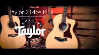 Taylor 214Ce Plus Demo Muziekhuis Souman
