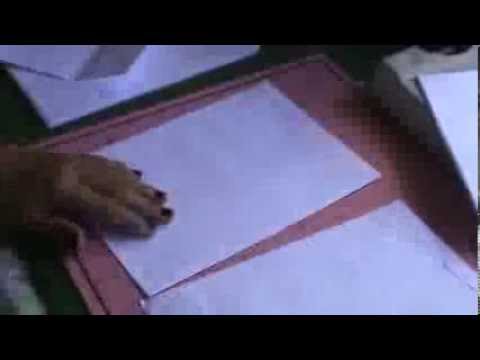 SCRAPBOOKING: Tutorial Álbum com envelopes parte 1 scrapbooking tiendas