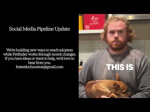 Why PetFinder Being Down Matters for Rescue Dogs