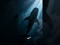 Das unheimlichste Geräusch aus der Tiefsee! 🌊😨