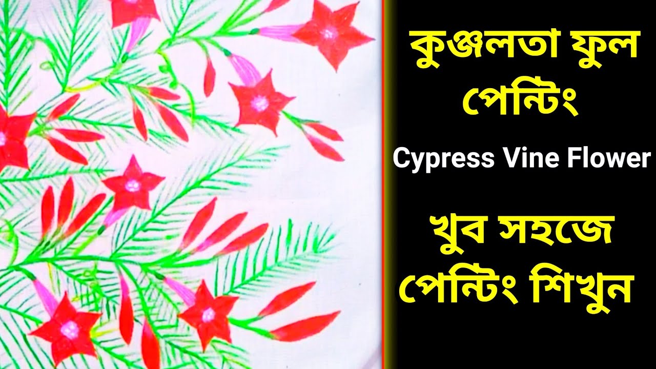 কুঞ্জলতা ফুল Kunjolota Flower Painting Cypress Vine Painting How