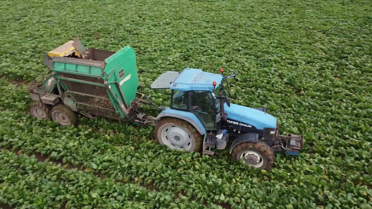 Gerry Donoghue Agri Pulling Beet Part 2