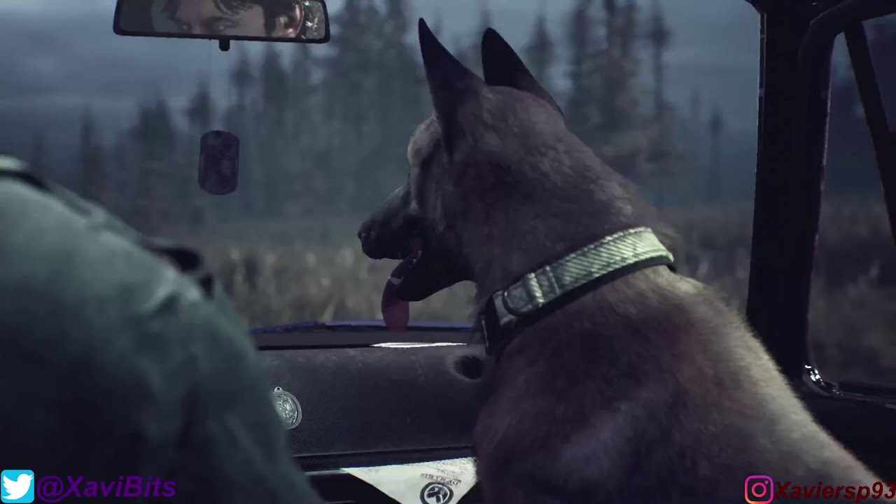 Blair Witch Asus TUF Max Settings