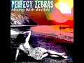 Perfect Zebras - Loves an Illusion