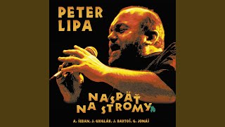 Download Lagu Málo MP3