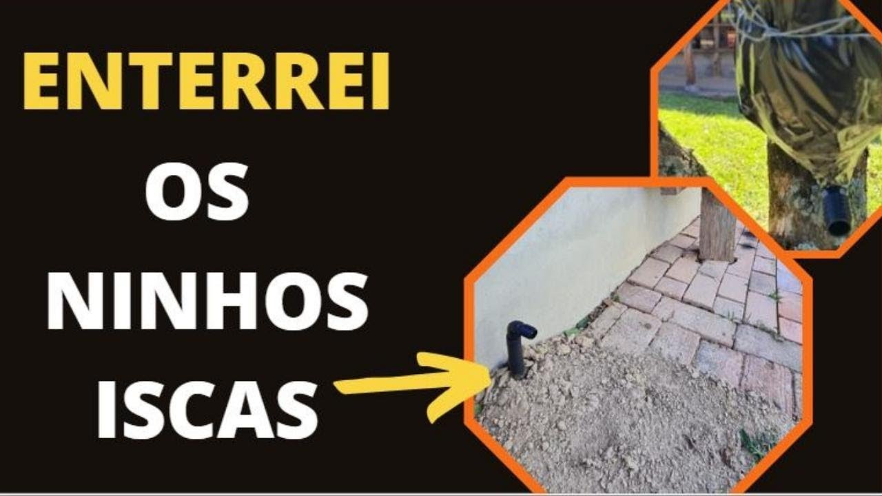 INSTALANDO NINHOS ISCAS NO MELIPONÁRIO
