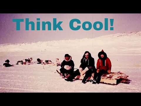 My Work History  - Part 1