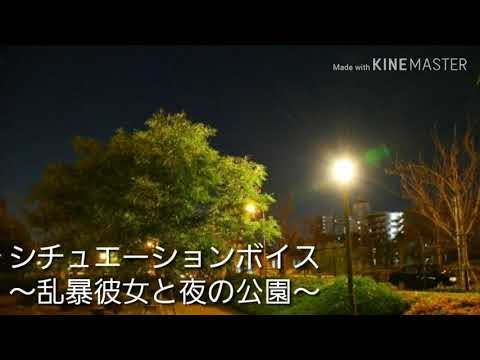 【男性向けボイス】～乱暴な彼女と夜の公園～シチュエーションは