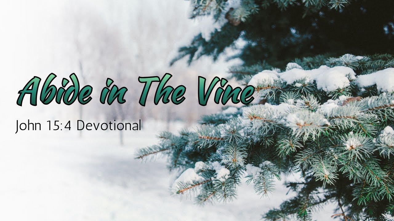 Как пребывать в виноградной лозе (Молитва к Иоанну 15:4)