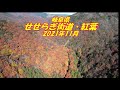 DJI Air2s　岐阜・せせらぎ街道　紅葉空撮