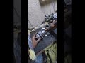 2 تجديد سلف ددسن 98 