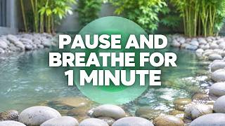 Your 1‑Minute Calm Checkpoint