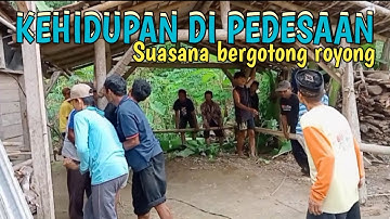 beginilah Kehidupan di pedesaan di jawa./suasana bergotong royong‼️Wong deso official
