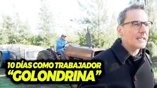 10 DÍAS COMO UN TRABAJADOR "GOLONDRINA"