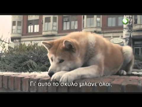 Βίντεο: Ήταν αληθινή ιστορία το απόγευμα της ημέρας του σκύλου;