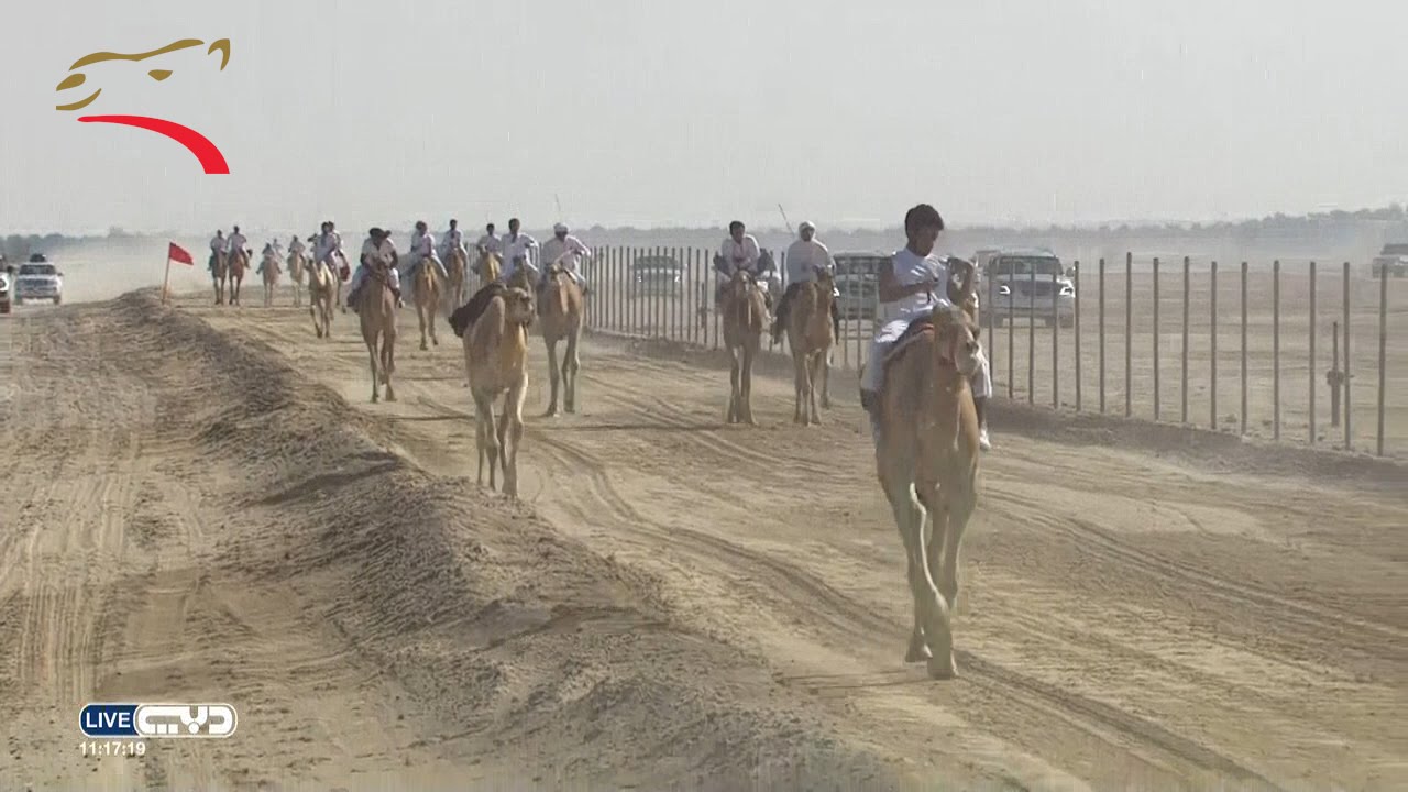 ماراثون اليوم الوطني الأول - المسافة 24 كم - سيح السلم 3-12-2015 صباحا