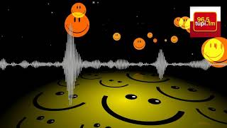 Festival de piadas: Papagaio do bordel screenshot 5