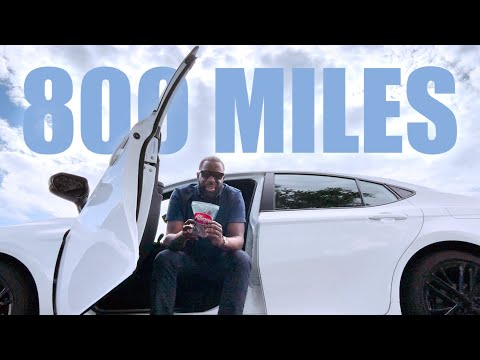 Who Travels 800 Miles for Chocolate Gummies?!