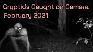 8 Videos of Cryptids Caught on Camera :: February 2021