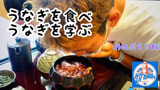 【西尾市でコラボ】うなぎ処いっしき【DTのぶらり飯】