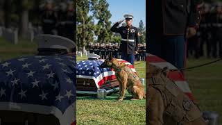 This dog's final howl for his fallen handler broke my heart 💔
