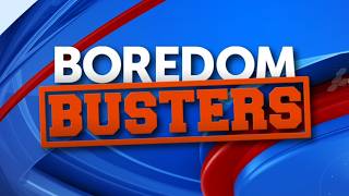Kittens at the digital desk, Sioux Purr Cats, More events | Boredom Busters