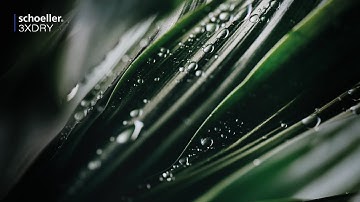 schoeller®-3XDRY® | DRY INSIDE, DRY OUTSIDE, DRY IN A FLASH