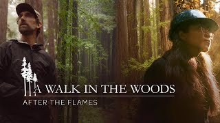 A Walk in the Woods: After the Flames