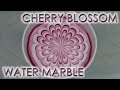Holo Cherry Blossom | Water Marble March 2024 | DIY Nail Art Tutorial | MSLP