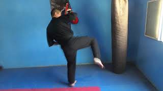 Tutorial: Low Kick (patada baja)
