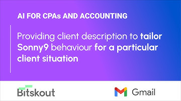 Sonny9 - Providing client details to customize the questions to bank statements