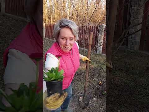 Признание в 'обмане'😅 Всем добра и позитива✌️ #ухтыкухня #немноголичного