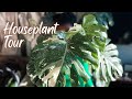 Houseplant Tour | Inside an NYC plant filled apartment
