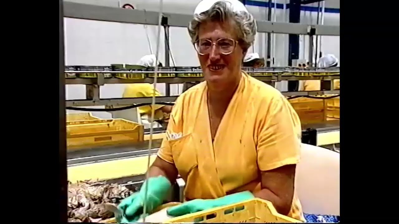 Bermeo eta arrantza - 1996