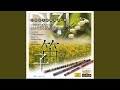 Plum Blossom Melody - Three Variations