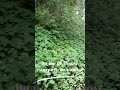 Не исполняя заповеди   что вы скажете тогда, Когда восстанет истина суда 12