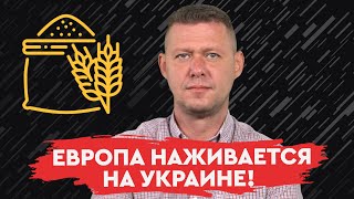 Опустошение украинских зерновых хранилищ: в чьих интересах действует Европа? Михаил Чаплыга