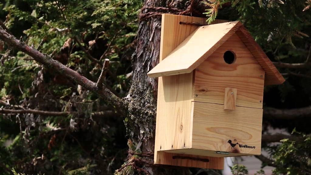 野鳥用餌台 バードフィーダー専門店キバコヤ エサ台 バードウォッチング Birdhouse Birdfeeder 木箱専門店 キバコヤ 木箱屋