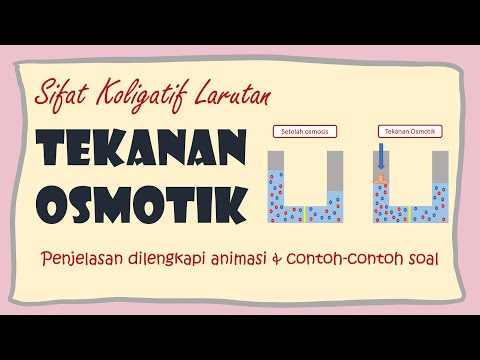 Video: Bagaimana gradien konsentrasi air berhubungan dengan tekanan osmotik?