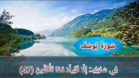 سورة يوسف من الأية رقم (43-57) بصوت القارئ ياسر الدوسري _ قصة يوسف رؤيا الملك