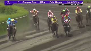 Vidéo de la course PMU PRIX YUMBELINO