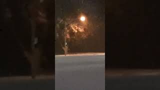 6 hours and still snowing in Foley AL