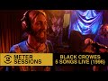 The black crowes  5 songs live on 2 meter sessions 1996