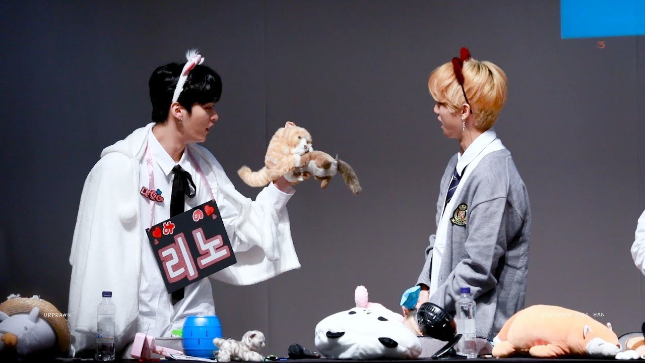 180831 스트레이키즈 Stray kids 용산 팬싸 (한지성Focus)