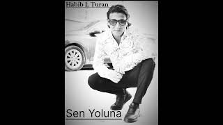 Habib L Turan - Sen Yoluna Ben Yoluma Çelik Cover